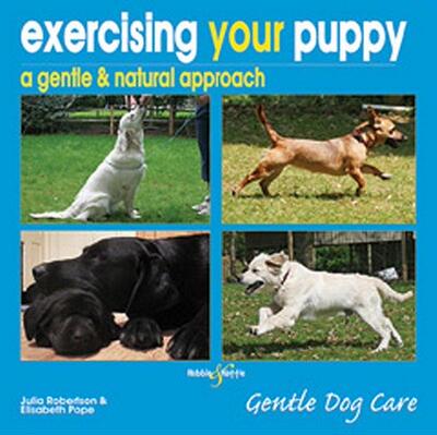 【预售】Exercising Your Puppy: A Gentle & Natural Approach