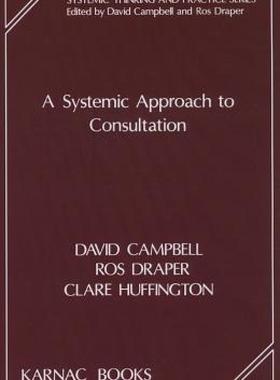 【预售】A Systemic Approach to Consultation