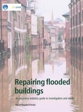 【预售】Repairing Flooded Buildings: An Insurance Industry