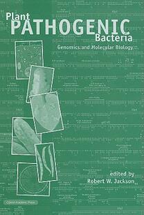 Pathogenic Plant 预售 Molecular Genomics and Bacteria
