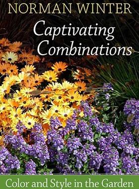 【预售】Captivating Combinations: Color and Style in the