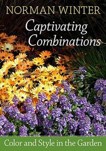 【预售】Captivating Combinations: Color and Style in the