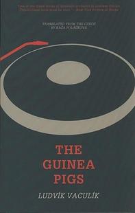 Pigs 预售 The Guinea
