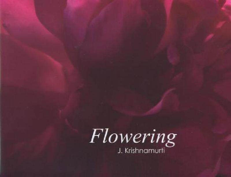 【预售】Flowering: J. Krishnamurti