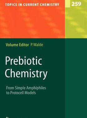 【预售】Prebiotic Chemistry: From Simple Amphiphiles to