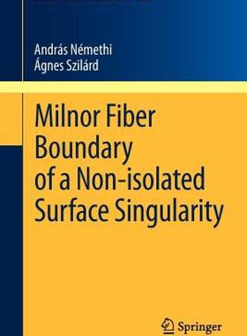 【预售】Milnor Fiber Boundary of a Non-Isolated Surface