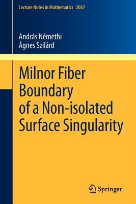 【预售】Milnor Fiber Boundary of a Non-Isolated Surface