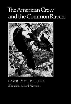 【预售】The American Crow & Common Raven