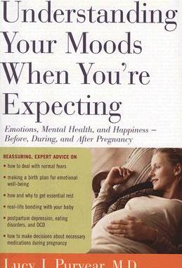 【预订】Understanding Your Moods When You're Expecting: