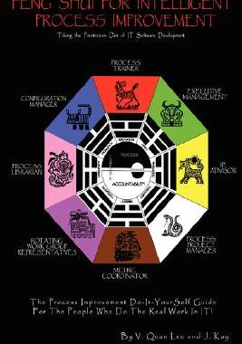 【预售】12 Steps to Intelligent Process Improvement (IPI) -