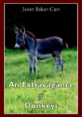 【预售】An Extravagance of Donkeys