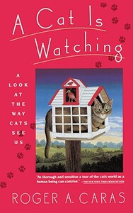 【预售】Cat Is Watching
