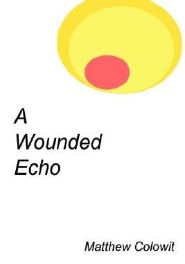 【预售】A Wounded Echo