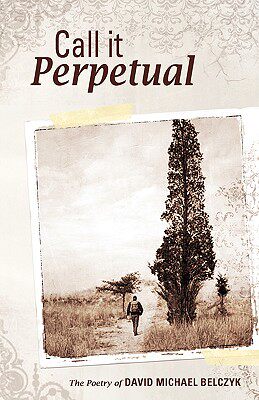 【预售】Call It Perpetual