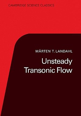 【预售】Unsteady Transonic Flow