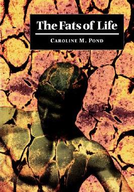 【预售】Fats of Life