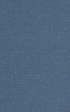 【预售】Reduction in Organic Synthesis: Recent Advances and