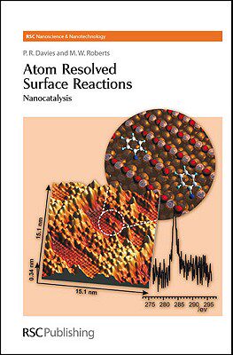【预售】Atom Resolved Surface Reactions: Nanocatalysis
