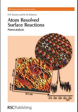 【预售】Atom Resolved Surface Reactions: Nanocatalysis