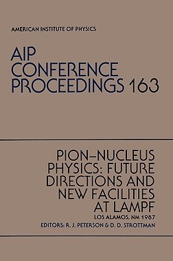 【预售】Pion-Nucleus Physics: Future Directions and New