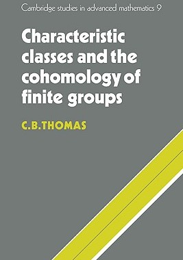 【预售】Characteristic Classes and the Cohomology of Finite