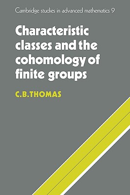 【预售】Characteristic Classes and the Cohomology of Finite