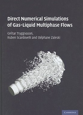 【预售】Direct Numerical Simulations of Gas-Liquid