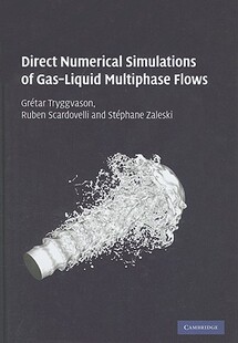 Numerical Direct Simulations Liquid Gas 预售
