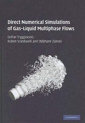 【预售】Direct Numerical Simulations of Gas-Liquid