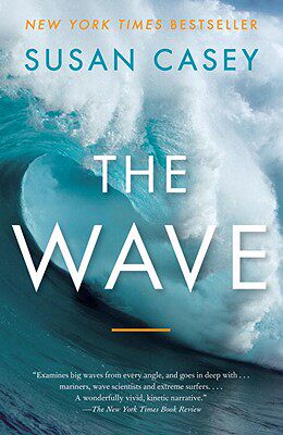 【预售】The Wave: In Pursuit of the Rogues, Freaks, and