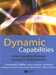 【预售】Dynamic Capabilities - Understanding Strategic