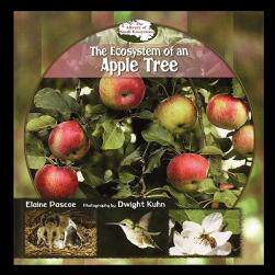 【预售】Ecosystem of an Apple Tree