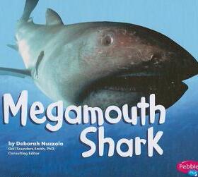 【预订】Megamouth Shark