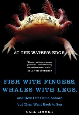 【预订】At the Water's Edge: Fish with Fingers, Whales with