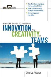 【预售】The Manager's Guide to Fostering Innovation and