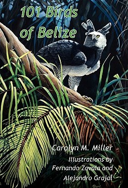 【预售】101 Birds of Belize