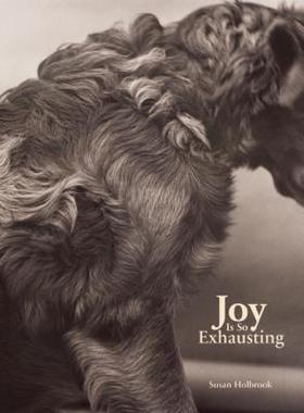 【预售】Joy Is So Exhausting