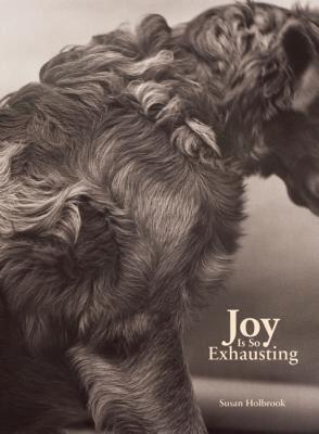 【预售】Joy Is So Exhausting