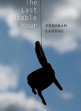 【预售】The Last Usable Hour