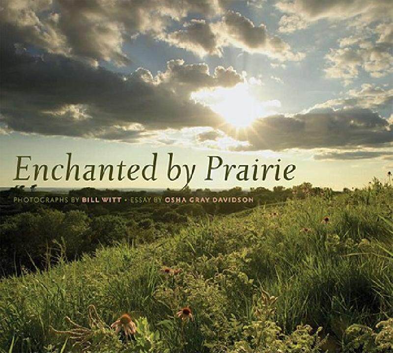 【预售】Enchanted by Prairie