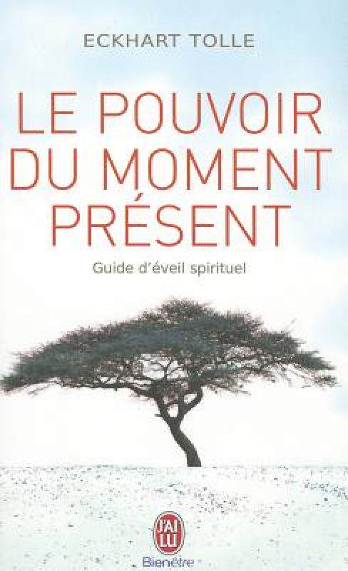 【预售】Le Pouvoir Du Moment Present