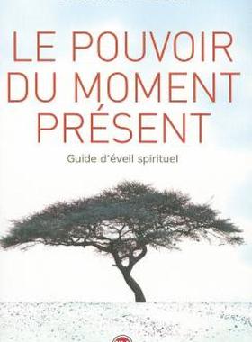 【预售】Le Pouvoir Du Moment Present