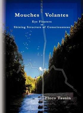 【预售】Mouches Volantes - Eye Floaters as Shining Structure