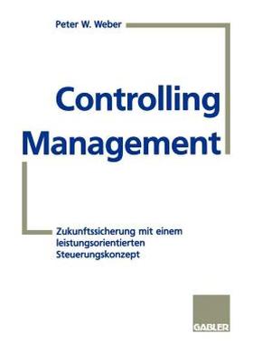 【预售】Controlling-Management: Zukunftssicherung Mit Einem