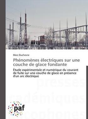 【预售】PH Nom Nes Lectriques Sur Une Couche de Glace