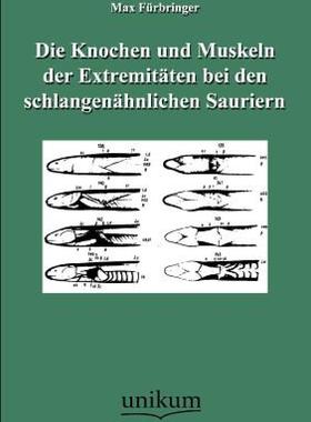 【预售】Die Knochen Und Muskeln Der Extremit Ten Bei Den