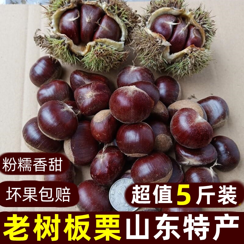 现摘新鲜板栗山东特产2025年新货