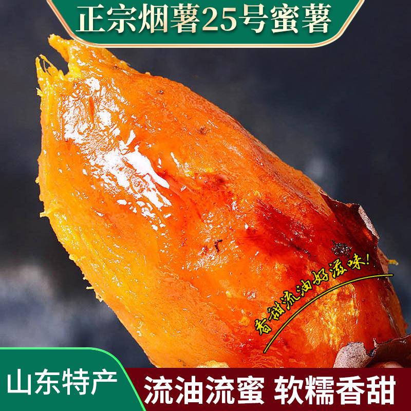 正宗山东烟薯25号红薯沙地蜜薯