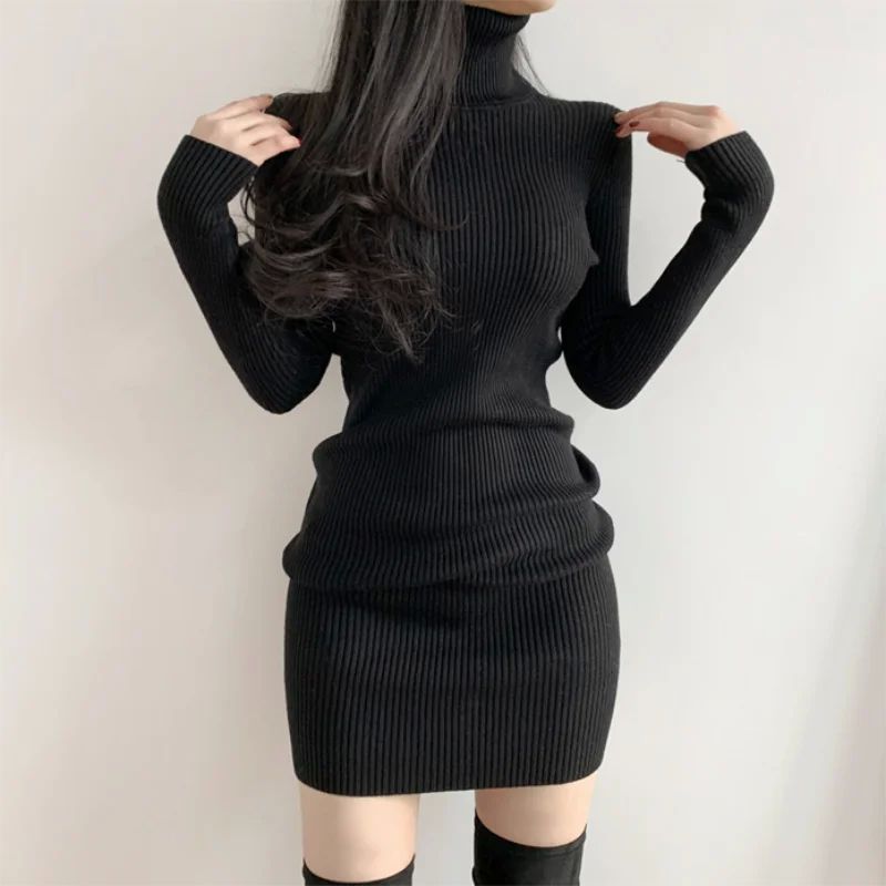 Women Autumn Winter Turtleneck Warm Bodycon Dress Long Sleev