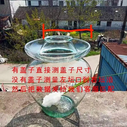 老式四川泡菜坛子盖子单卖水密封罐万能玻璃瓶盖子圆形通用盖配件